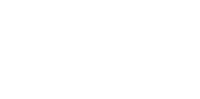 Was ist  das  für ein Kamel? FALKO für Camel/JTI
